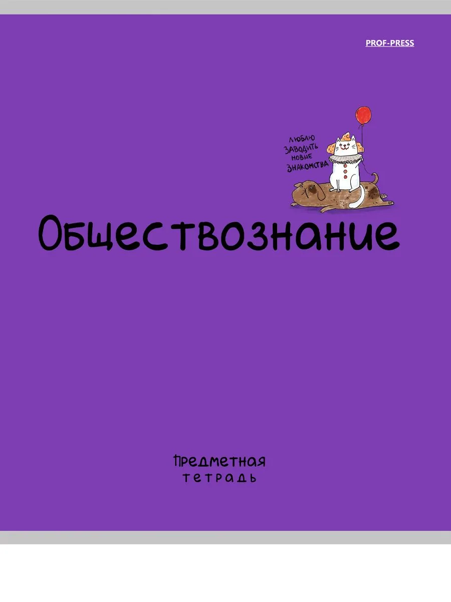 Тетрадь предметная А5 Обществознание "Mini friends" 48л, кл.,тисн.лен