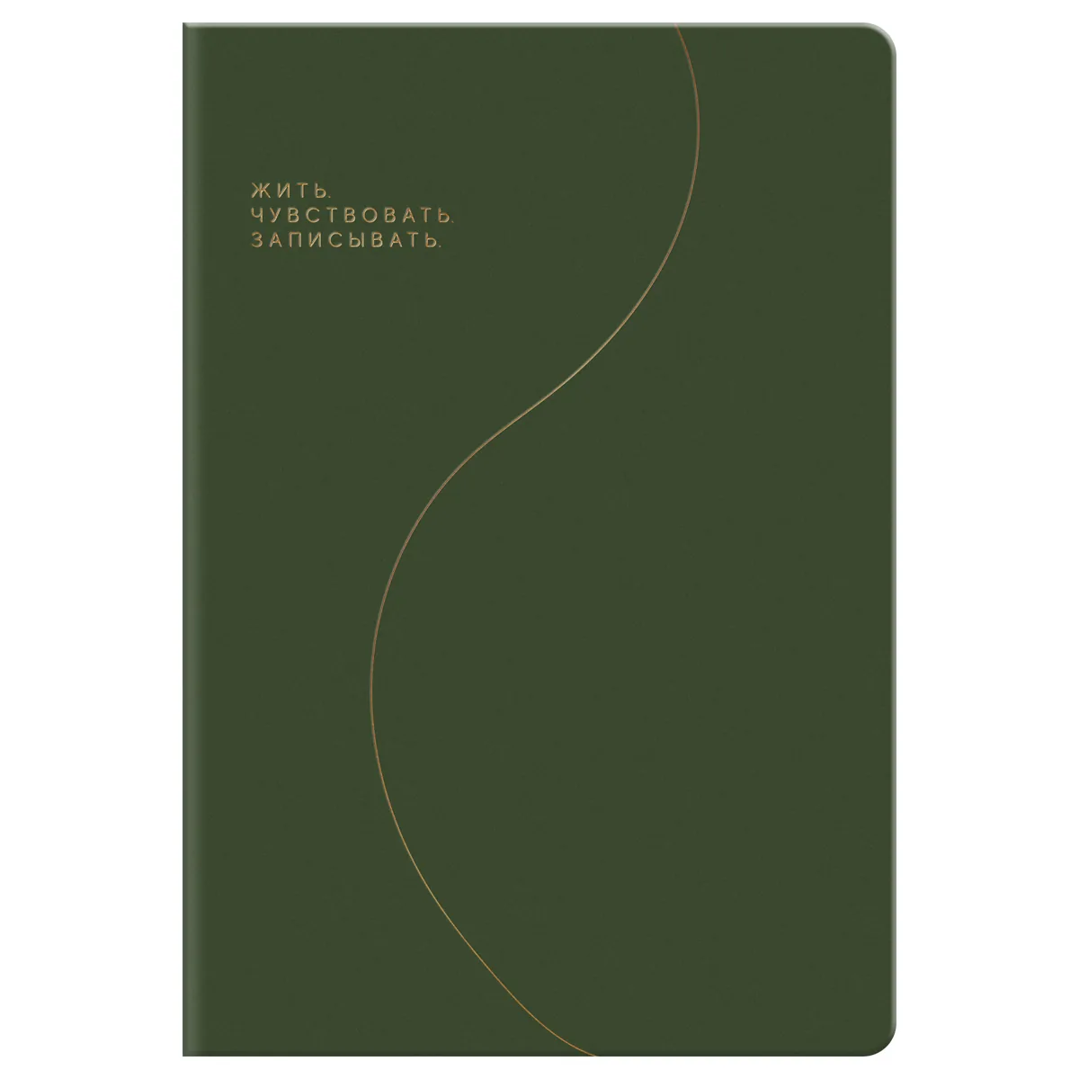 Записная книжка А5, 96л., BG "Смыслы", кожзам, линия, зеленый