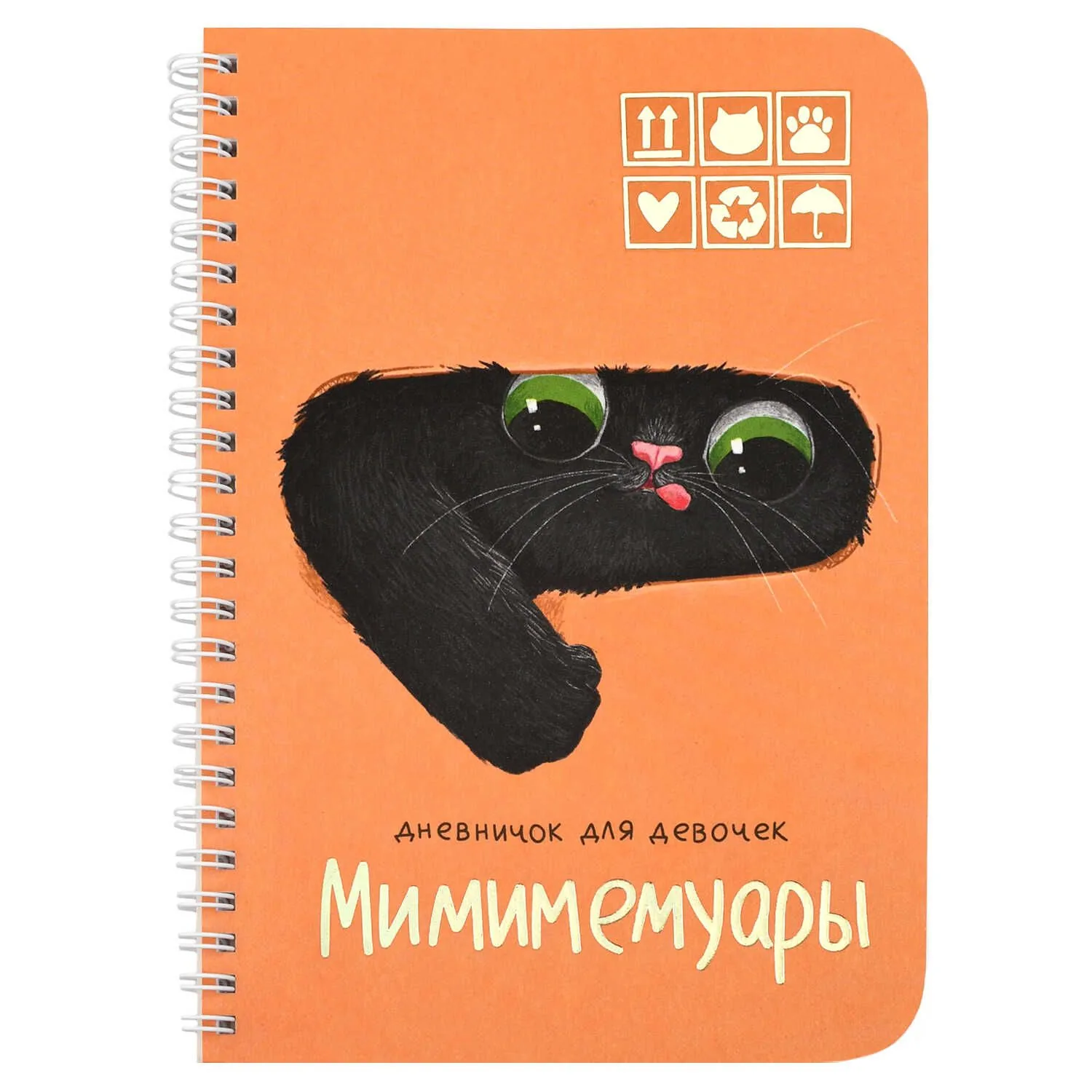 Личный дневник для девочек А5  40л., гребень, картон "Кот из коробки" мат.лам., тисн.фольгой